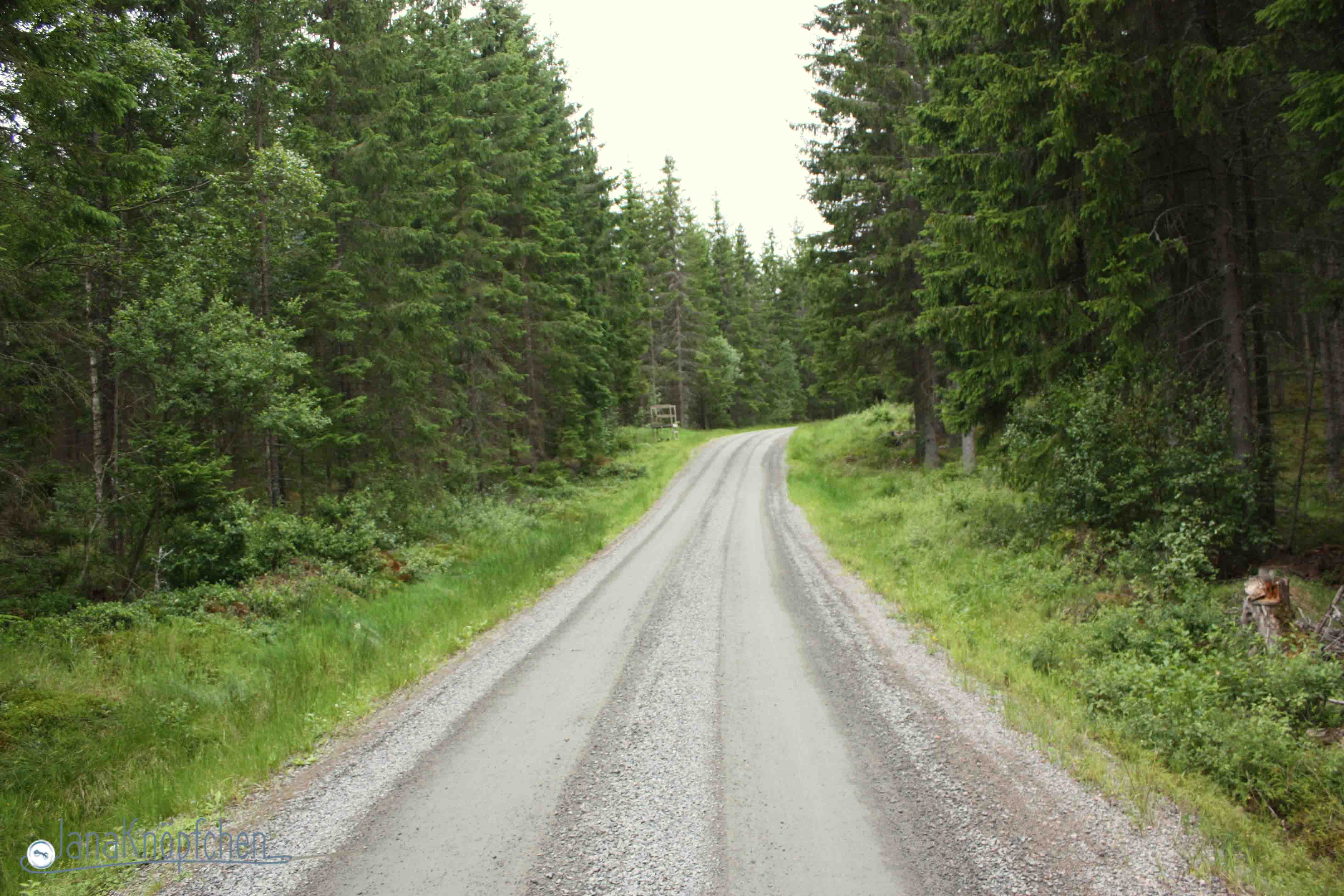 weg zum flohmarkt in schweden lammhult. janaknöpfchen nähblog