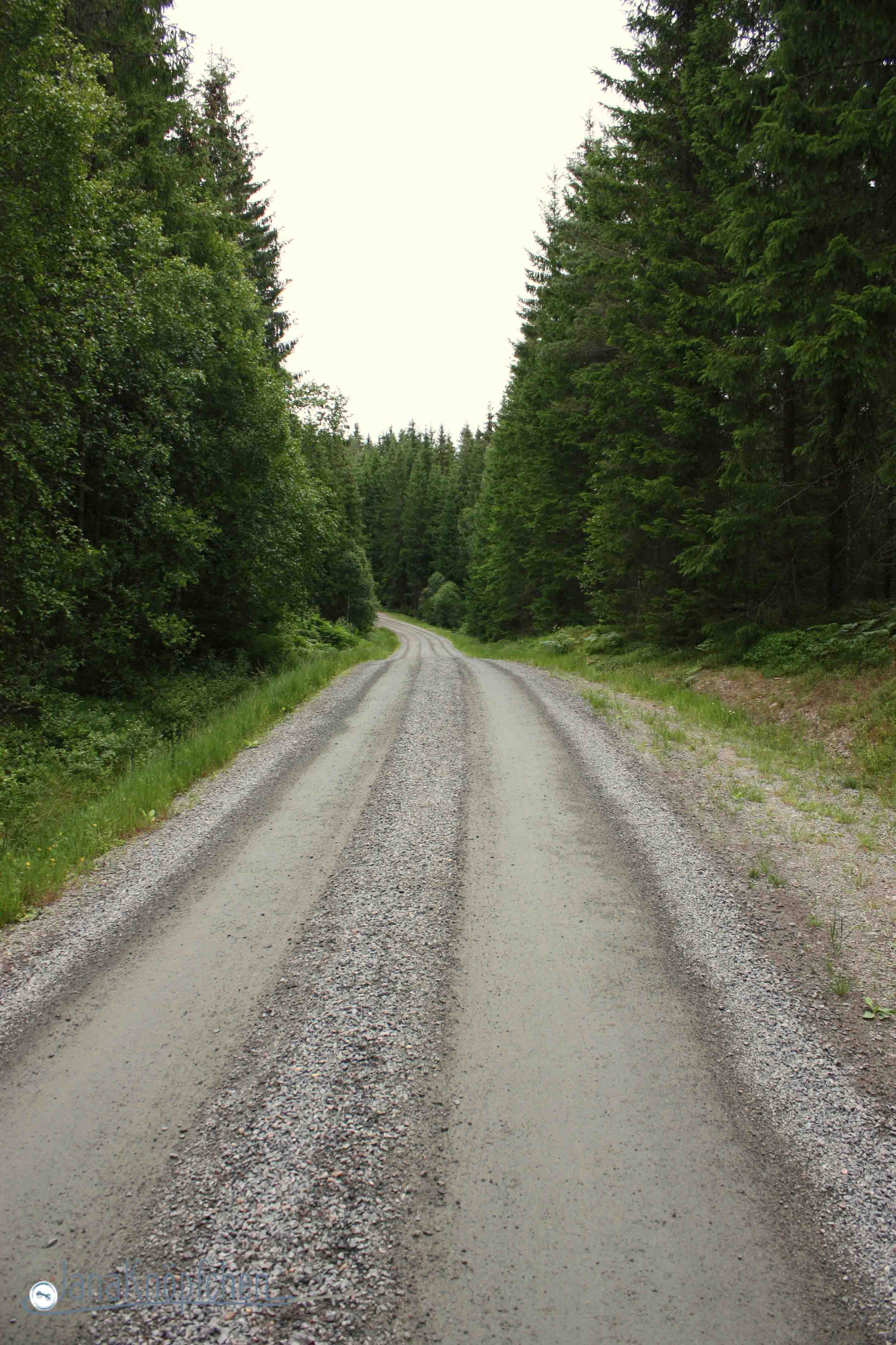 Weg zum Flohmarkt in Schweden Lammhult. Janaknöpfchen Nähblog